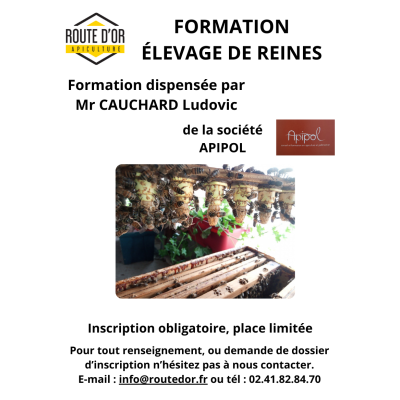 Formation Élevage de Reines...