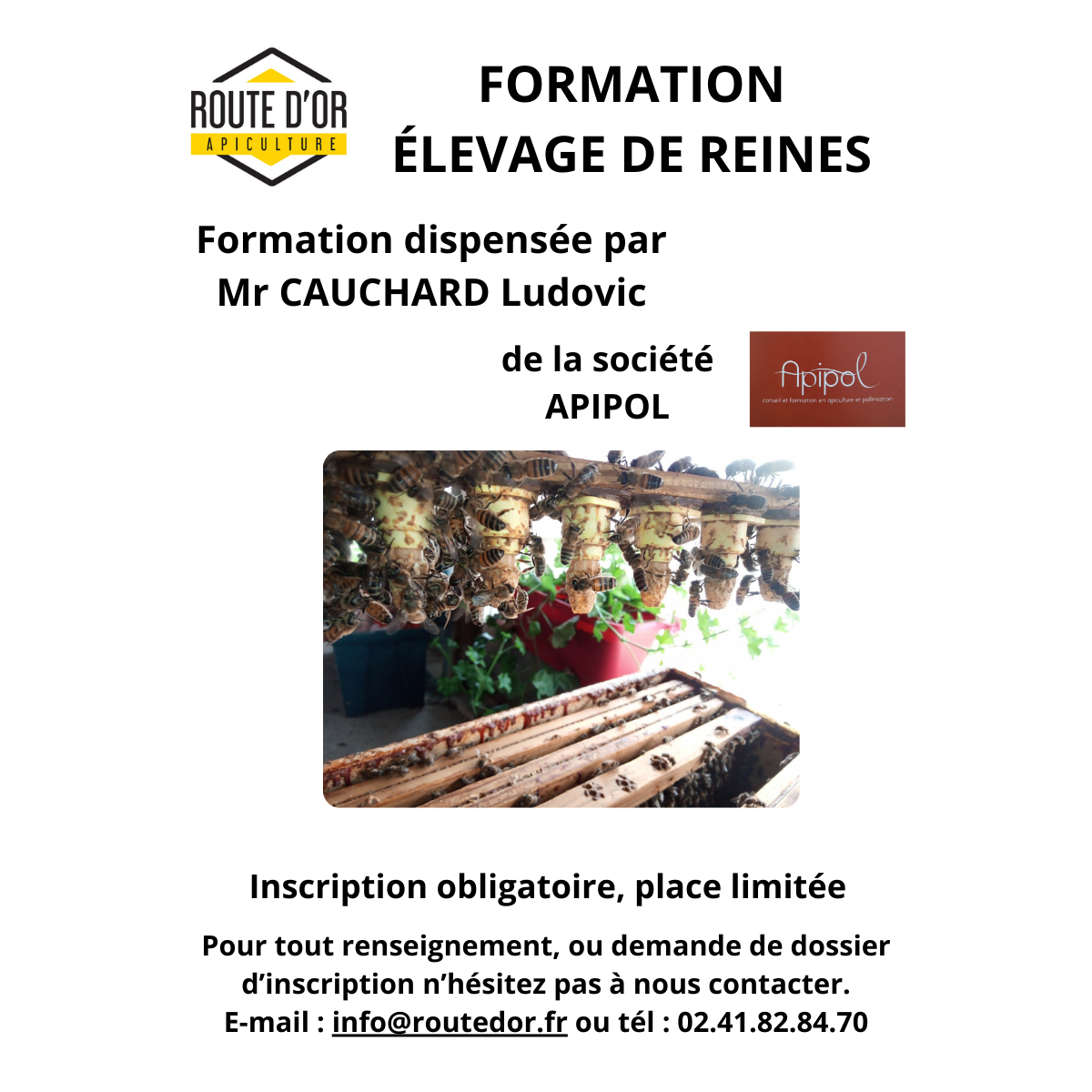 Formation Élevage de Reines sur 2 Jours