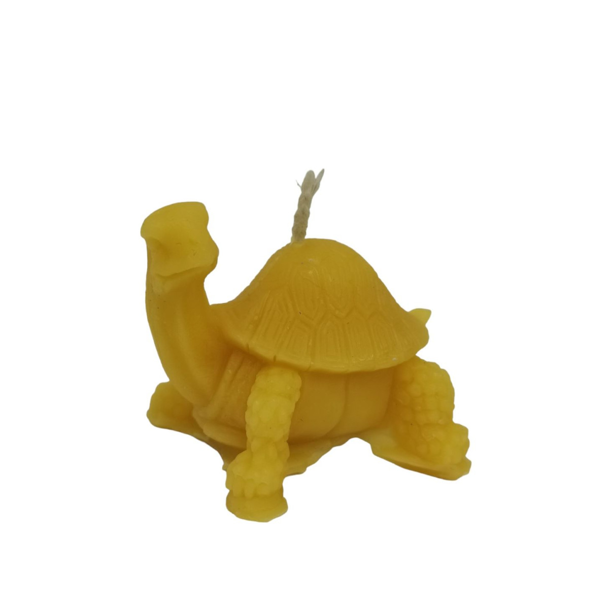 Moule à Bougie Tortue 45mm