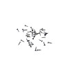 Semences 100 gr Pour Pose Fil Cadres