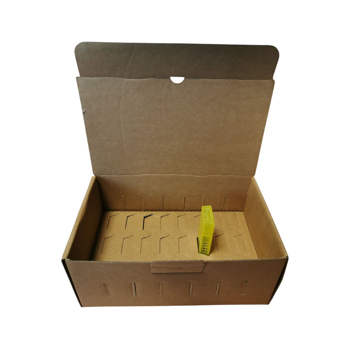 Boîte Expédition 24 Cages à Reines Carton Havane 230x140x95mm