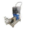 Pompe à Miel Professionnelle Inox Variateur Électronique Rotor Néoprène Ø 120 mm