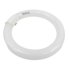 Néon Rechange Lampe Loupe 22W 220V