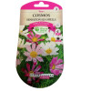 Graines Cosmos Sea Shells - Les Doigts Verts