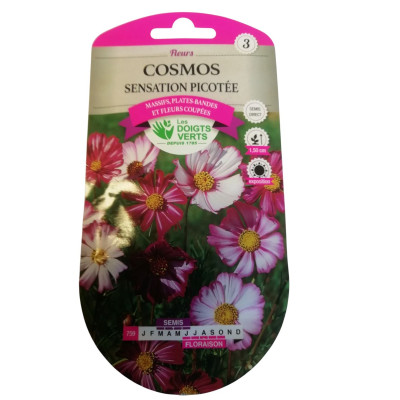 Graines Cosmos Picotée -...