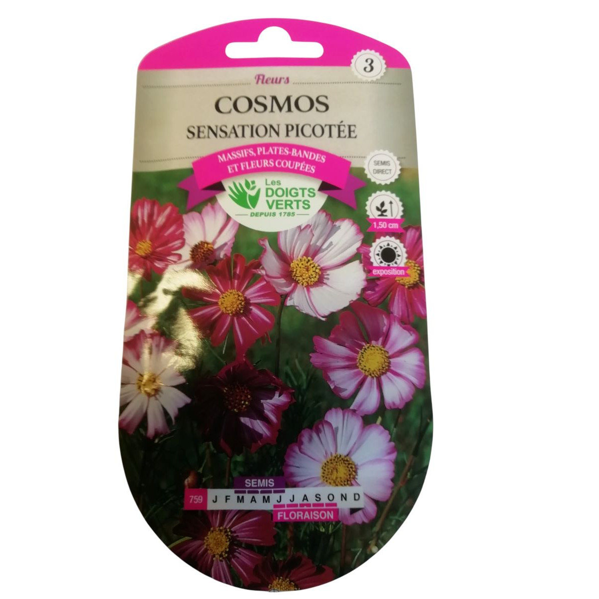 Graines Cosmos Picotée - Les Doigts Verts