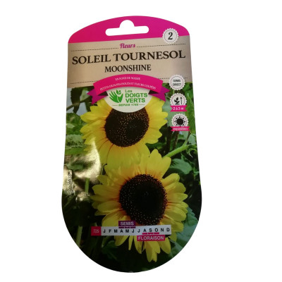 Graines Tournesol Moonshine...