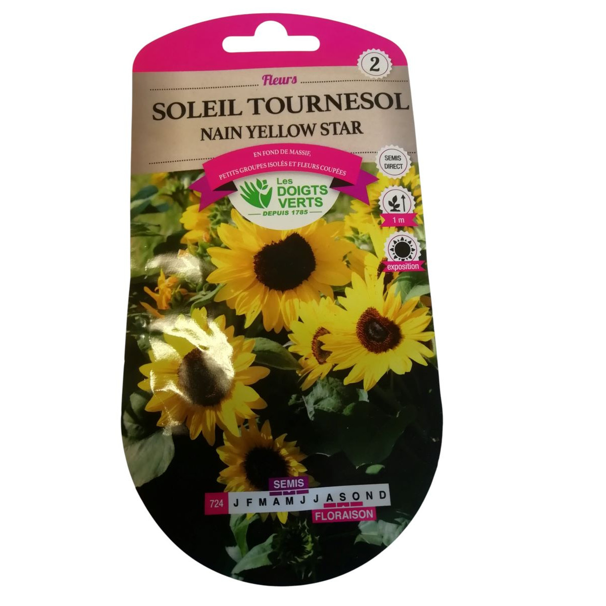 Graines Tournesol Nain Yellow Star - Les Doigts Verts
