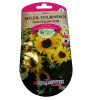 Graines Tournesol Nain Yellow Star - Les Doigts Verts