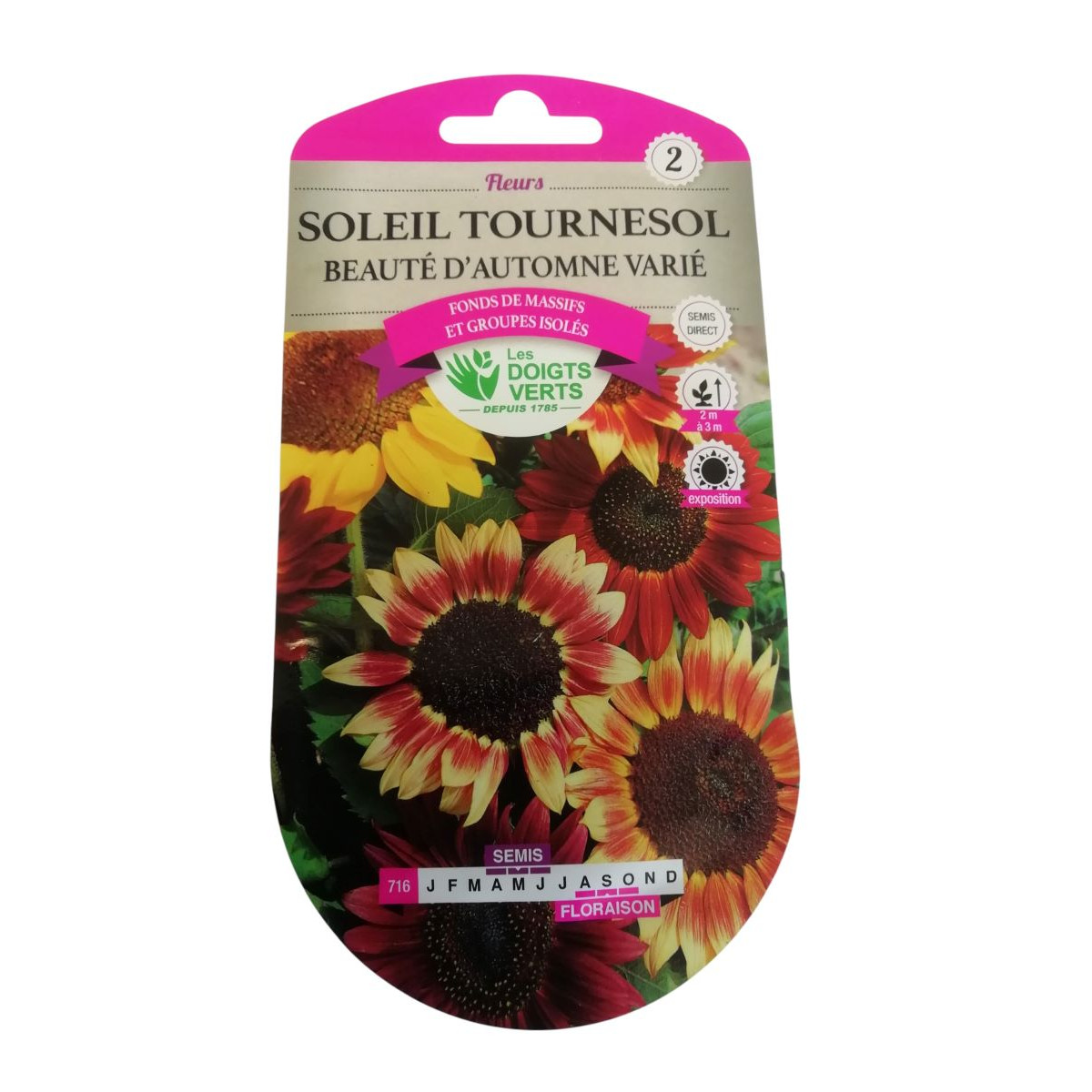 Graines Soleil Tournesol - Les Doigts Verts