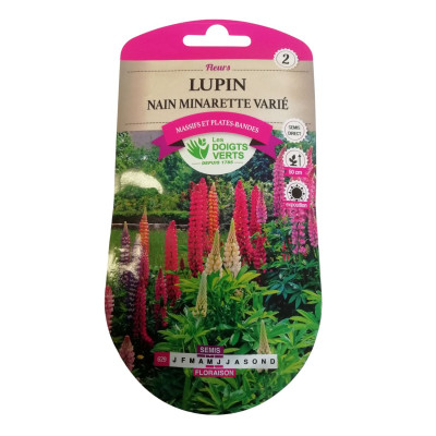 Graines Lupin Nain...
