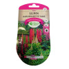 Graines Lupin Nain Minarette Varié - Les Doigts Verts