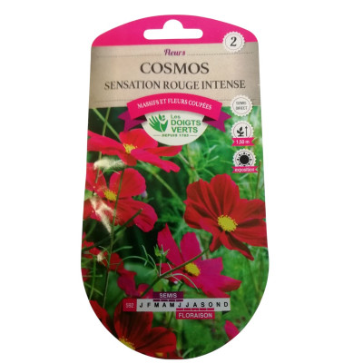 Graines Cosmos Sensation...