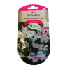 Graines Cosmos Sensation Blanc - Les Doigts Verts