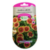 Graines Gaillarde Vivace Naine Kobold - Les Doigts Verts