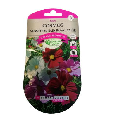 Graines Cosmos Sensation...