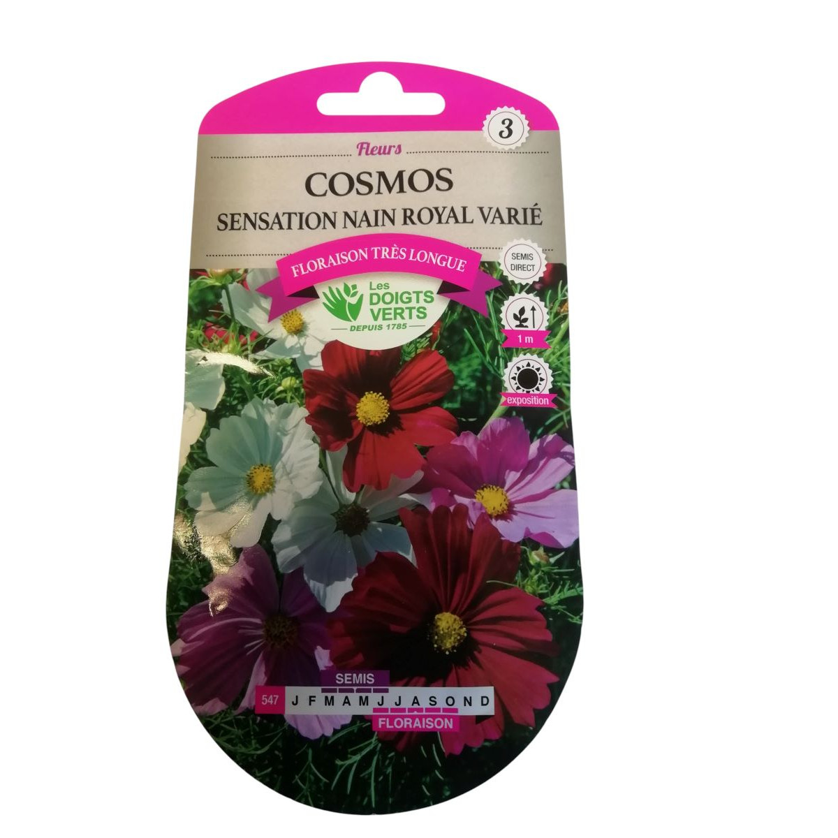 Graines Cosmos Sensation Nain Royal Varié - Les Doigts Verts