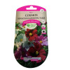 Graines Cosmos Sensation Nain Royal Varié - Les Doigts Verts