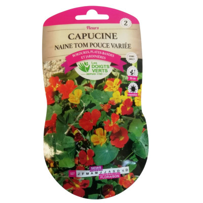 Graines Capucine Naine Tom...
