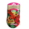 Graines Capucine Simple Grimpante de Lobb - les Doigts Verts