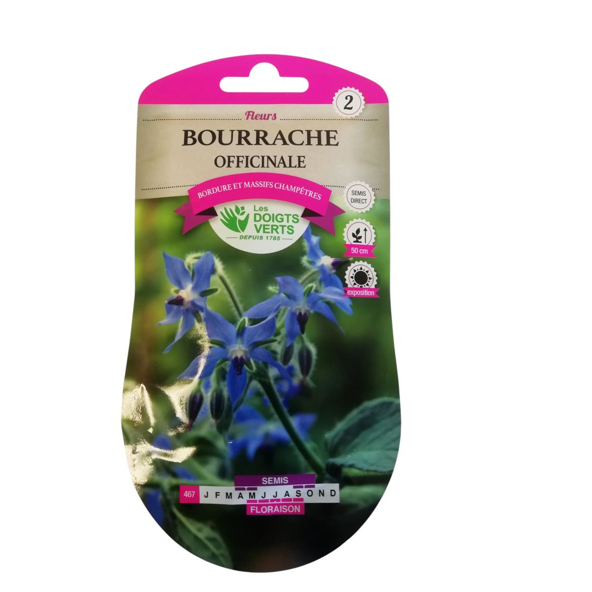 Graines Bourrache Officinale - Les Doigts Verts
