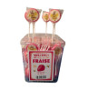 Sucette Abeille Fraise