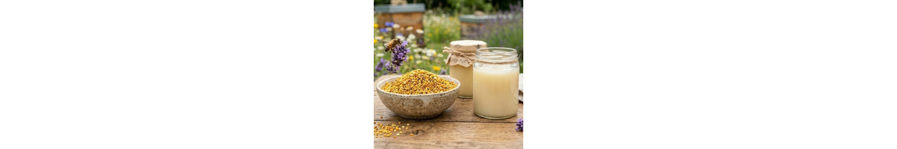 Produits de la ruche — Matériel apicole Route d'Or