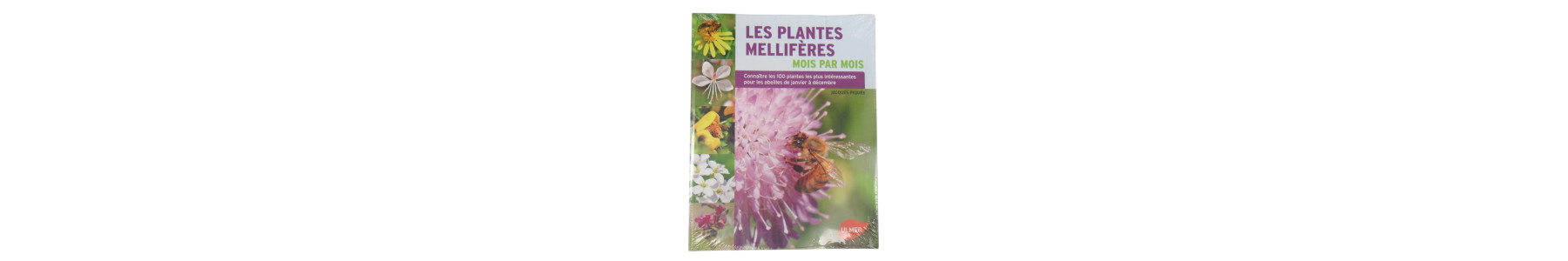 Plantes